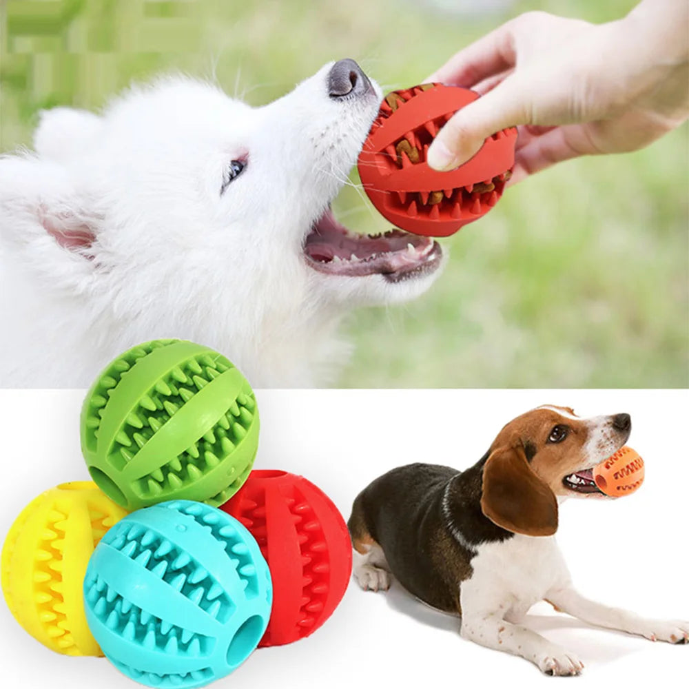 Pet Interactive Rubber Balls My Shop