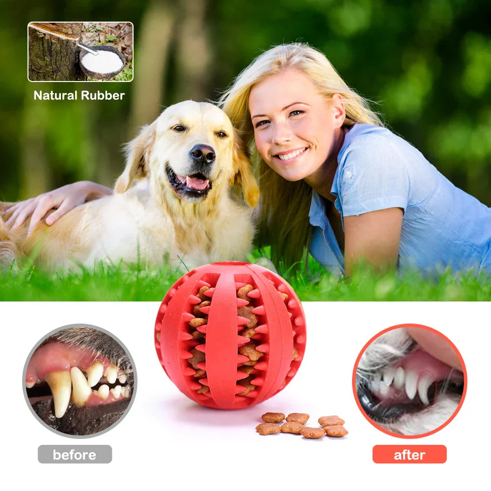 Pet Interactive Rubber Balls My Shop