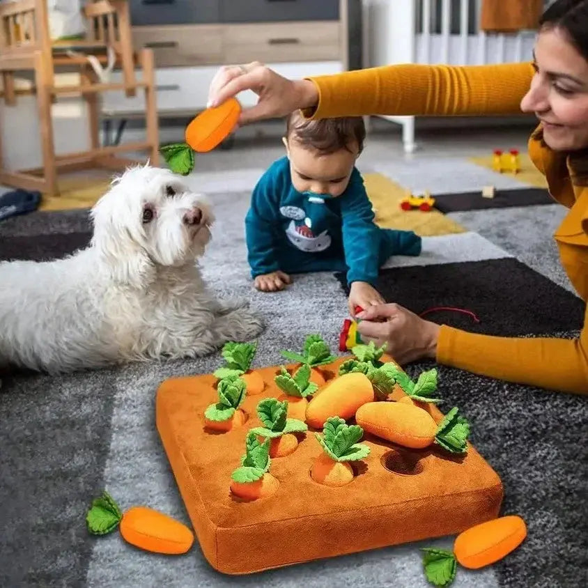 Carrot Snuffle Mat for Pet My Shop