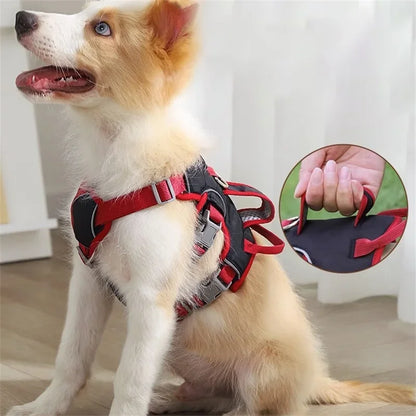 Explosion-Proof Pet Harness My Shop